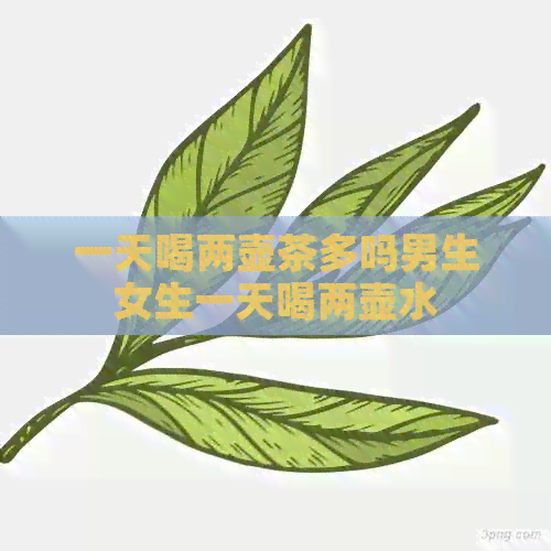 一天喝两壶茶多吗男生女生一天喝两壶水