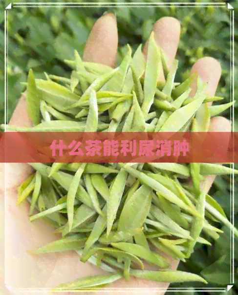 什么茶能利尿消肿