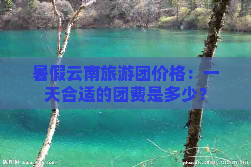 暑假云南旅游团价格：一天合适的团费是多少？