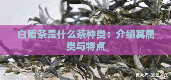 白眉茶是什么茶种类：介绍其属类与特点