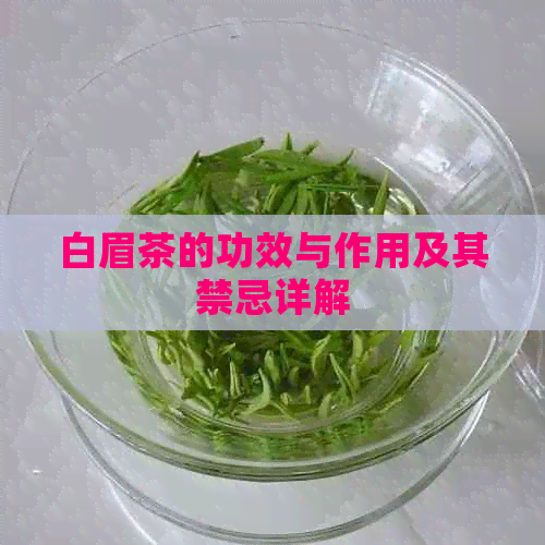 白眉茶的功效与作用及其禁忌详解