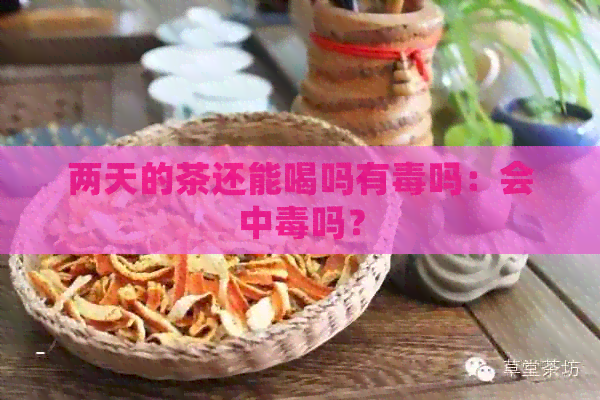 两天的茶还能喝吗有吗：会中吗？