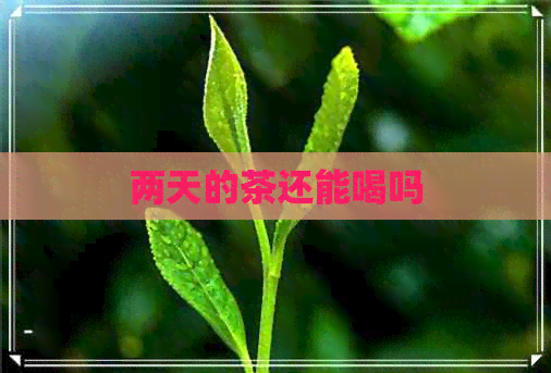 两天的茶还能喝吗