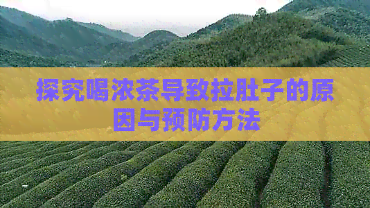 探究喝浓茶导致拉肚子的原因与预防方法