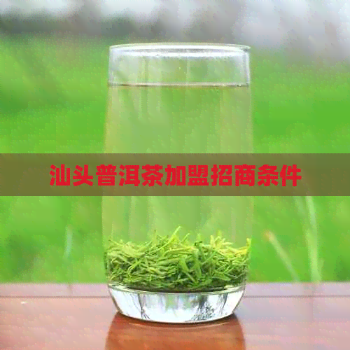 汕头普洱茶加盟招商条件