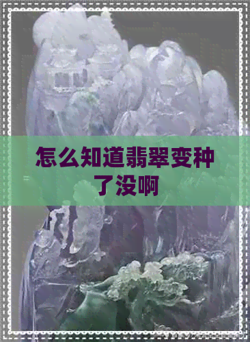 怎么知道翡翠变种了没啊