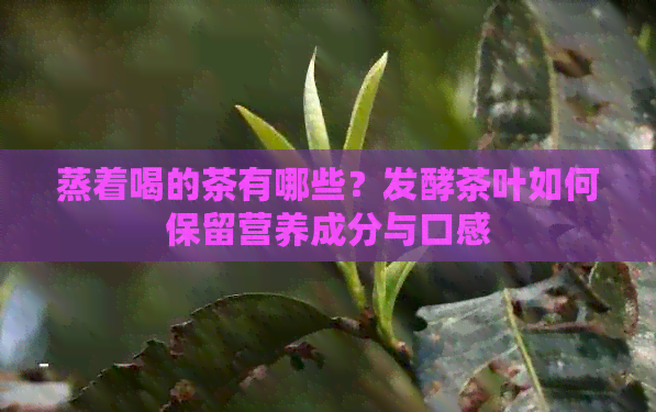 蒸着喝的茶有哪些？发酵茶叶如何保留营养成分与口感