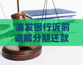 '浦发银行诉前调解分期还款：方案不同意及所需时间'