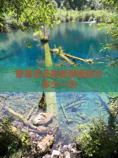 蒙城去云南旅游团报价多少一天