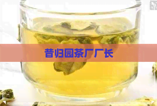 昔归园茶厂厂长