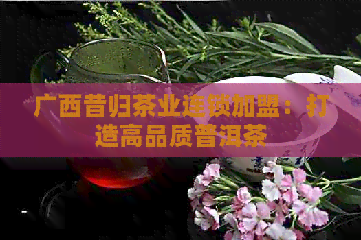 广西昔归茶业连锁加盟：打造高品质普洱茶