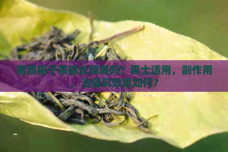 菊苣栀子茶能长期喝吗？男士适用，副作用，治痛风效果如何？