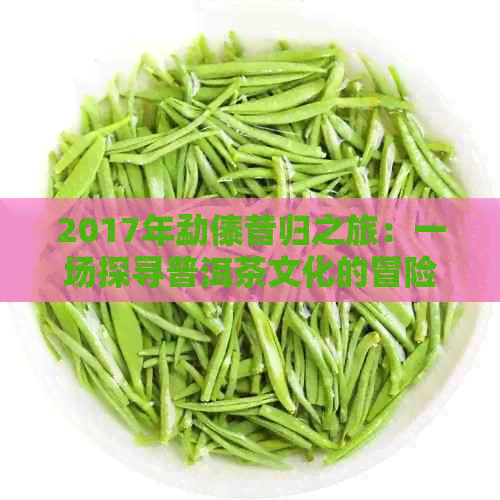 2017年勐傣昔归之旅：一场探寻普洱茶文化的冒险