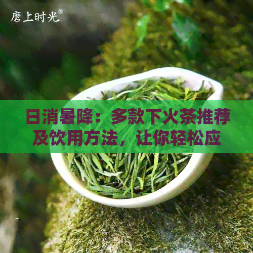 日消暑降：多款下火茶推荐及饮用方法，让你轻松应对炎炎日