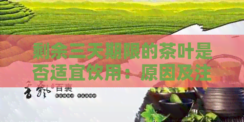 剩余三天期限的茶叶是否适宜饮用：原因及注意事项