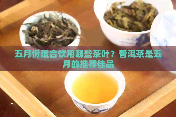 五月份适合饮用哪些茶叶？普洱茶是五月的推荐佳品