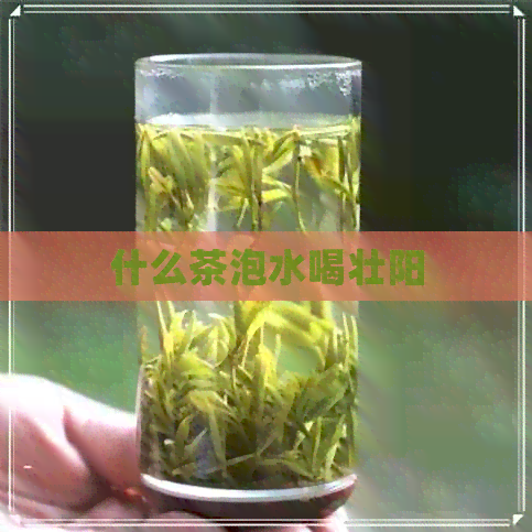 什么茶泡水喝壮阳