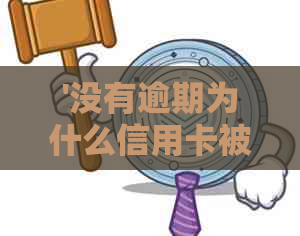 '没有逾期为什么信用卡被拒：原因与解决方案'