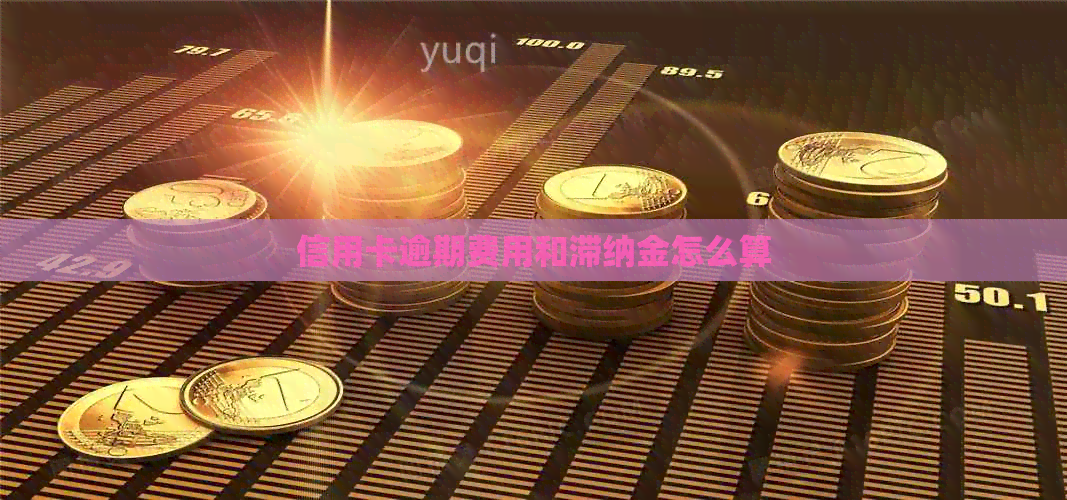 信用卡逾期费用和滞纳金怎么算