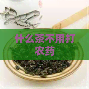 什么茶不用打农药