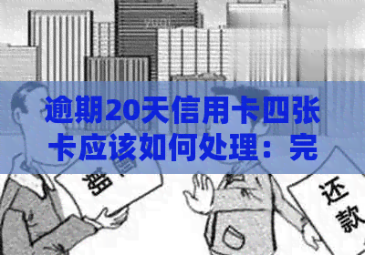 逾期20天信用卡四张卡应该如何处理：完整指南及解决方案