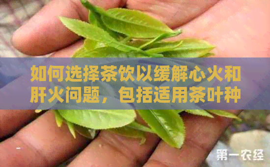 如何选择茶饮以缓解心火和肝火问题，包括适用茶叶种类和饮用注意事项