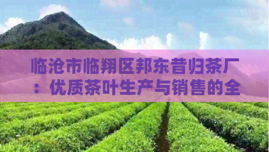 临沧市临翔区邦东昔归茶厂：优质茶叶生产与销售的全攻略