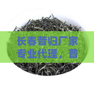 长春昔归厂家专业代理，普洱茶行业领导者