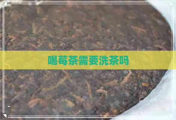 喝莓茶需要洗茶吗