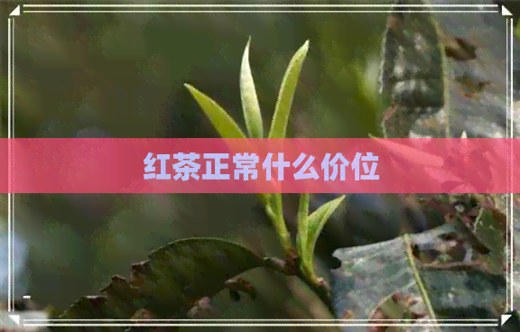 红茶正常什么价位