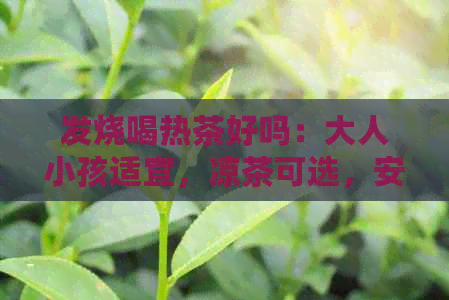 发烧喝热茶好吗：大人小孩适宜，凉茶可选，安全指南