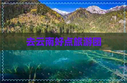 去云南好点旅游团