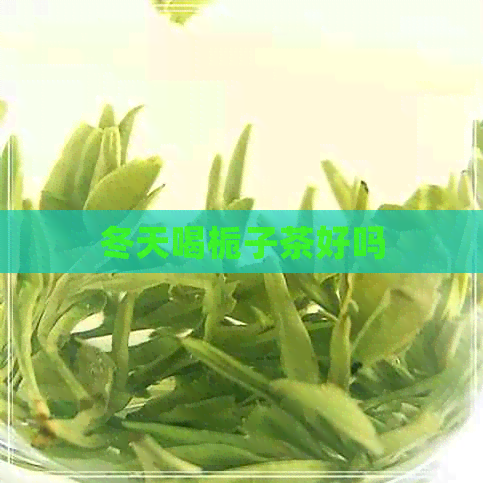 冬天喝栀子茶好吗