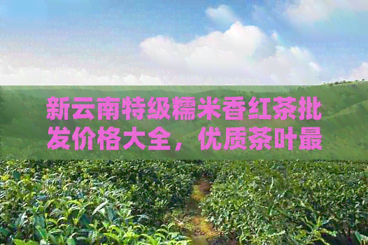 新云南特级糯米香红茶批发价格大全，优质茶叶最新报价