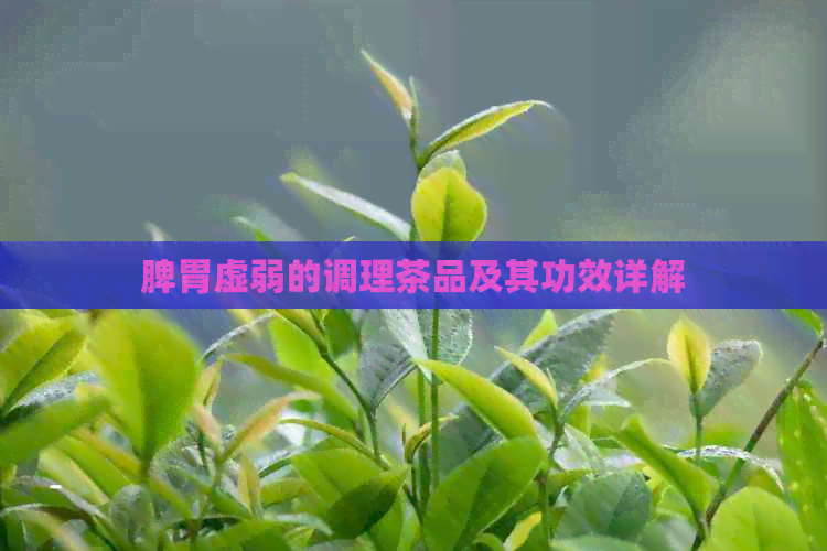 脾胃虚弱的调理茶品及其功效详解