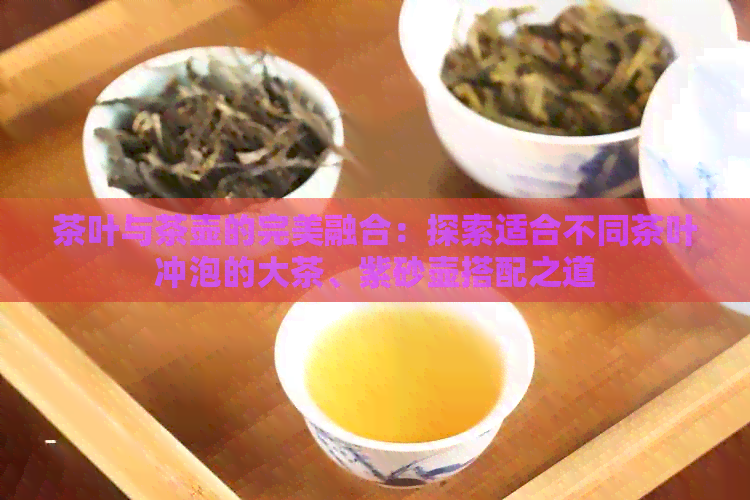 茶叶与茶壶的完美融合：探索适合不同茶叶冲泡的大茶、紫砂壶搭配之道