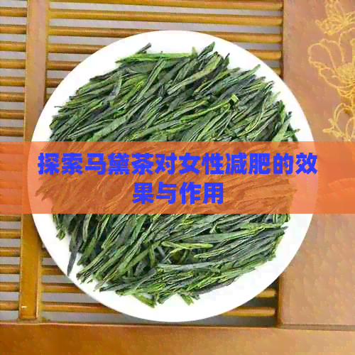 探索马黛茶对女性减肥的效果与作用