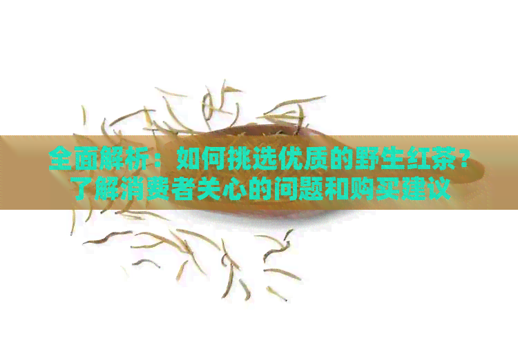 全面解析：如何挑选优质的野生红茶？了解消费者关心的问题和购买建议