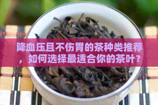 降血压且不伤胃的茶种类推荐，如何选择最适合你的茶叶？