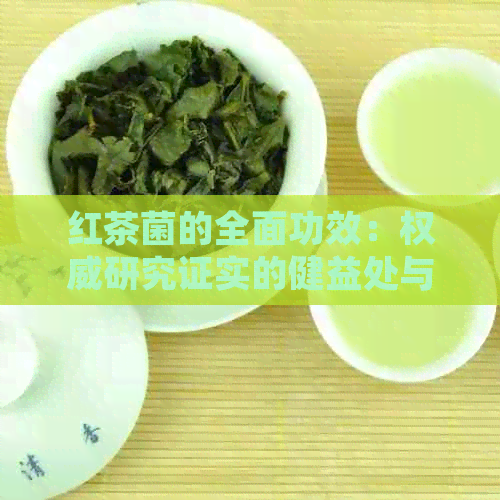 红茶菌的全面功效：权威研究证实的健益处与潜在风险