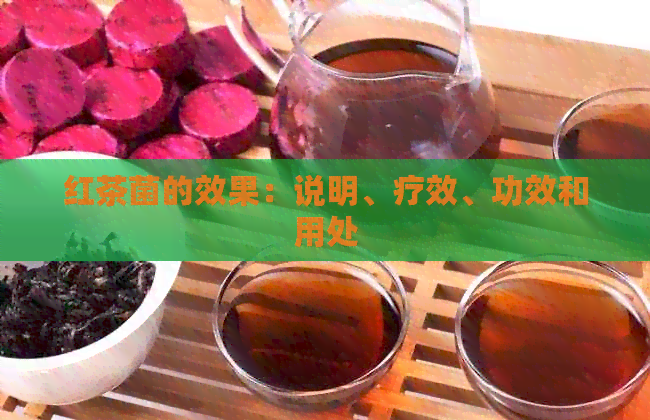 红茶菌的效果：说明、疗效、功效和用处