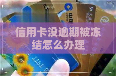 信用卡没逾期被冻结怎么办理