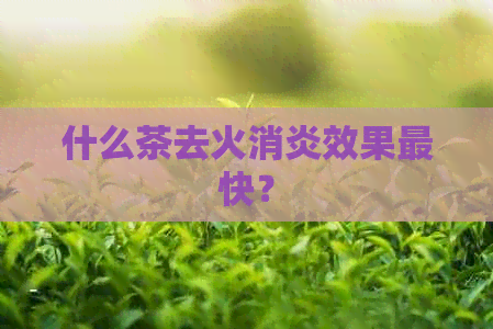 什么茶去火消炎效果最快？