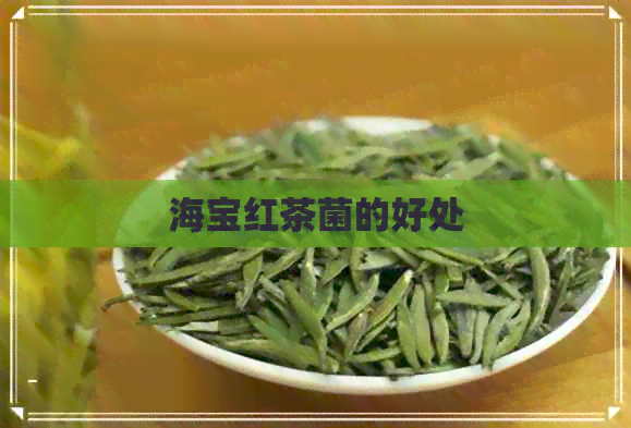 海宝红茶菌的好处