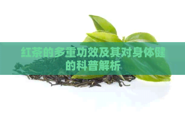 红茶的多重功效及其对身体健的科普解析