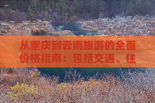 从重庆到云南旅游的全面价格指南：包括交通、住宿、景点门票等详细费用