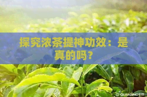 探究浓茶提神功效：是真的吗？