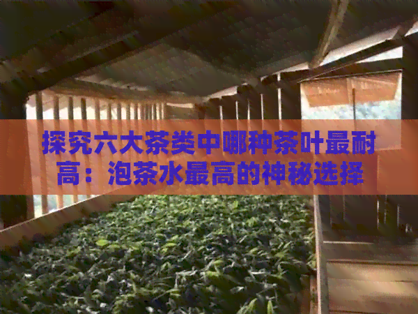 探究六大茶类中哪种茶叶最耐高：泡茶水更高的神秘选择