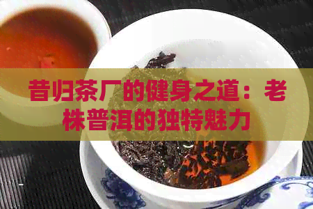 昔归茶厂的健身之道：老株普洱的独特魅力