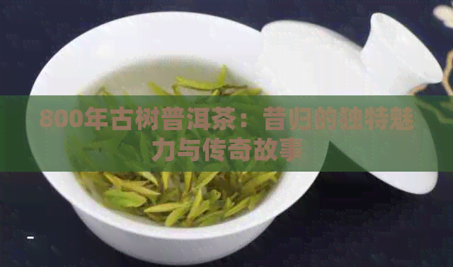 800年古树普洱茶：昔归的独特魅力与传奇故事